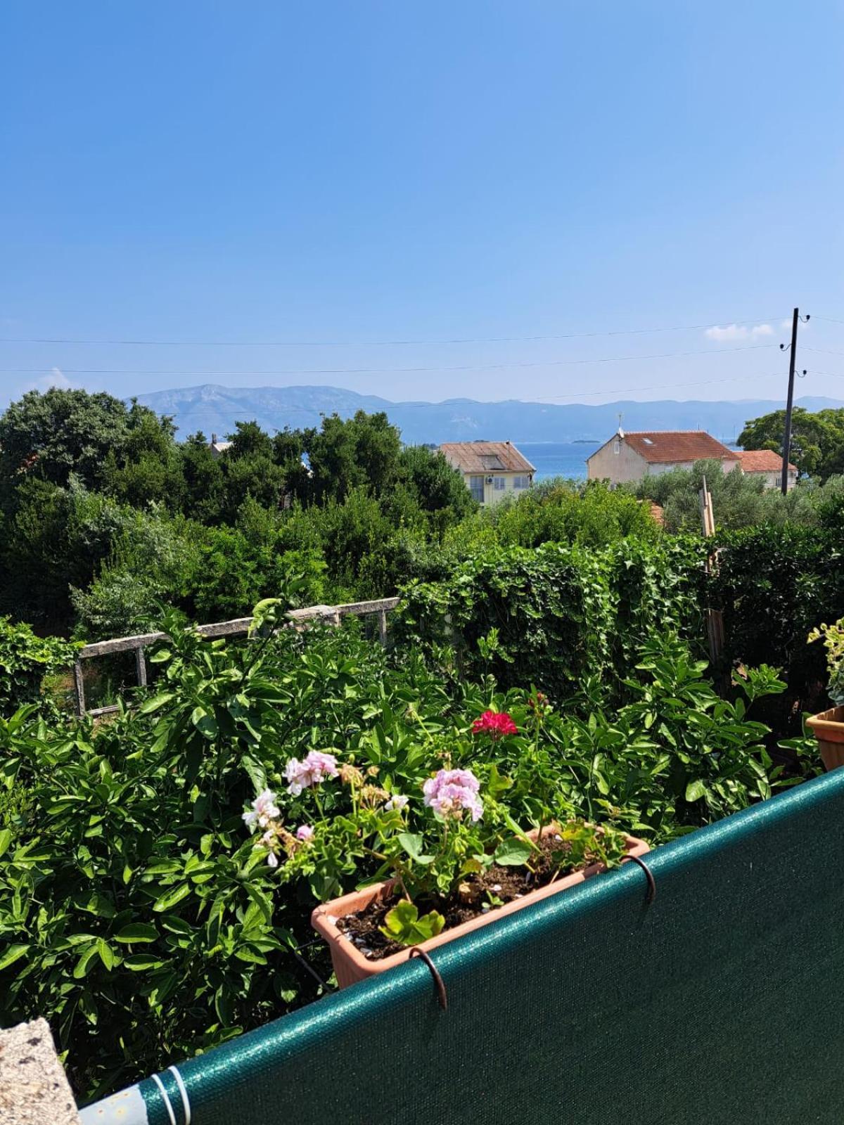 Apartmani Dusica Lumbarda Buitenkant foto